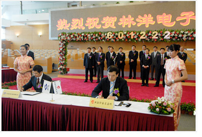 林洋電子登陸中國(guó)A股市場(chǎng)