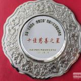 林洋集團總裁、林洋能源董事長陸永華 被評為南通市“慈善之星”