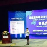 林洋能源亮相2016儲能國際峰會帶來儲能與微電網商業模式分析