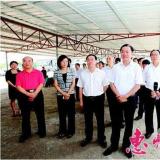 惠州市領導視察浩寧達智能電網—物聯網項目