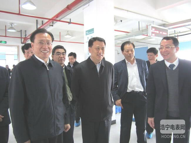 國家發改委副主任林念修蒞臨炬華科技調研